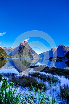 Calm waters and peaks of Milford Sound