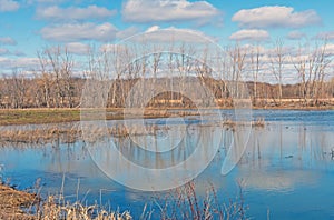 Calm Waters in Quiet Wildlife Refuge