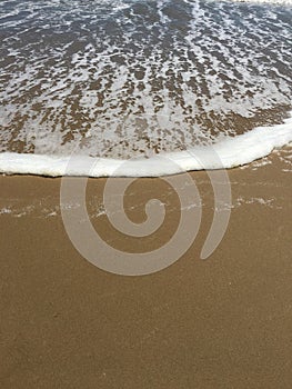 Calm wave on the pink sand bea