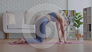 Calm of wellness Athletic Asian woman in sportwear practice yoga Cat Cow pose to meditation at home in bedroom after wake up in