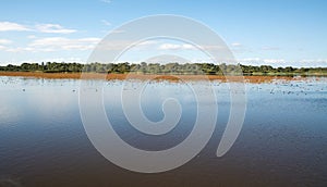 Calm Wetland Waters