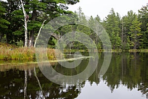 Calm Wilderness Lake