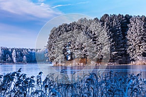 Calm winter landscape of frozen pine trees in the island of the lake