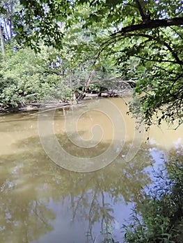 Calmed after a storm