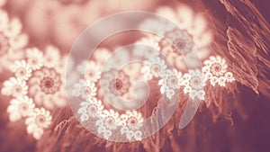 Calming Coral Nostalgic Conic Spirals Abstract Fractal Background