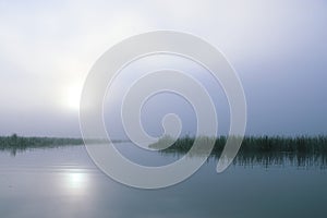 Calming Foggy morning sunrise at a lake with grass in the water photo