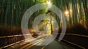 A Calming Path Through a Bamboo Forest