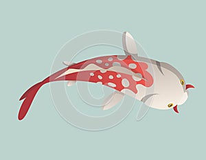 Calmly floating fish. Koi fish vector illustration japanese carp, colorful oriental koi in Asia. Chinese goldfish