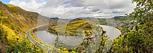 Calmont Moselle loop Landscape in autumn colors Travel Germany