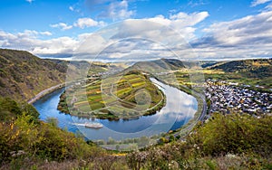 Calmont Moselle loop Landscape in autumn colors Travel Germany