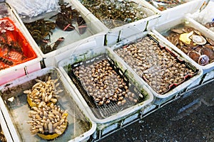 Calma a langostas en El mercado en 