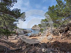 Calo den Monjo sea inlet and cove, cliffs and pine tree forest of the Mallorca coast, Balearic island, Spain