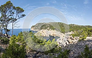 Calo den Monjo sea inlet and cove, cliffs and pine tree forest of the Mallorca coast, Balearic island, Spain