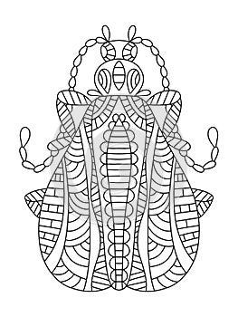 Calopteron terminale decorative coloring page for adults vector illustration photo