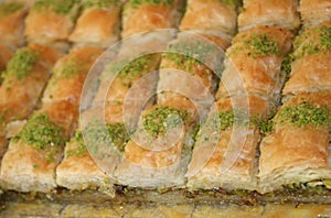 Caloric Turkish Cake Baclava