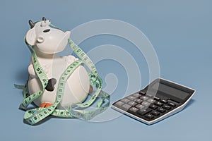 Calorie counting - fun composition with calculator and cow. Blue background