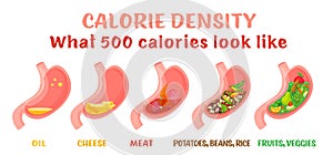 Calorie density. Horizontal poster. Editable vector illustration