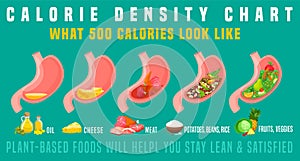 Calorie density. What 500 calories look like in the stomach.