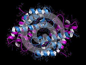 Calprotectin protein. Antimicrobial protein that is capable of sequestering the essential nutrients manganese and zinc. Used as