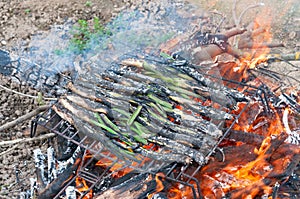 Calsots on the barbecue