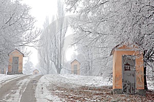 Calvary and winter nature