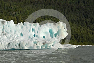 Calved ice from Mendenhall Glacier, Juneau, Alaska