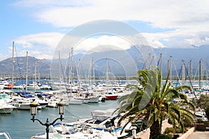 Calvi Marina. photo