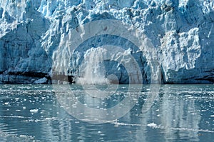 Calving, Tidewater Margerie Glacier, Alaska