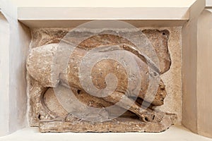 Calydonian Boar, Archaeological Museum of Delphi, Greece photo