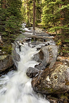 Calypso Cascades and Quiet Forest