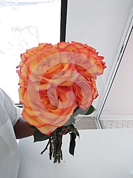 Calypso roses bouquet sunset flowers