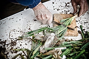 CalÃÂ§ots