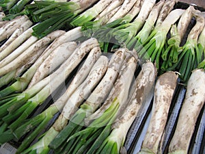 CalÃÂ§ots