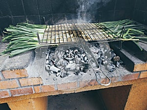 CalÃÂ§ots in barbecue. Typical catalan dish