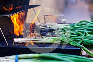 CalÃ§ots, a catalan young onions. In spring, when the cold is going away, we meet with friends to a CalÃ§otada. Is a bbq with