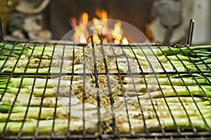 CalÃ§ots in a grill