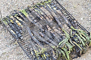 CalÃ§ots or grilled sweet onions in calÃ§otada, in Valls, Tarragona, Catalonia, Spain.