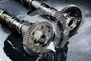 Cam shaft of a turbo diesel engine