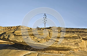 Cama de Vaca cliffs, Faro District, Portugal photo