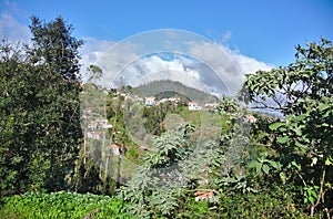 Camacha, Madeira, Portugal - A view of the Mountainside