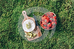 Camambert cheese and white grapes, organic strawberries on wooden board over green grass background. Top view. Copy photo