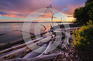 Camano Island State Park photo