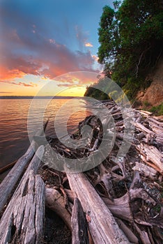 Camano Island State Park photo