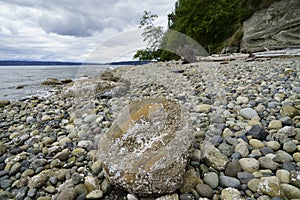 Camano Island State park Washington photo