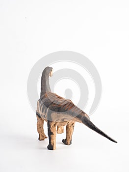 Camarasaurus Dinosaur on white background