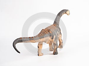Camarasaurus Dinosaur on white background