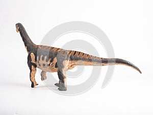 Camarasaurus Dinosaur on white background