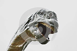 Camarasaurus Dinosaur on a white background