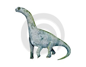 Camarasaurus sauropod dinosaur watercolor illustration. Brachiosaurus drawing, prehistoric herbivore animal
