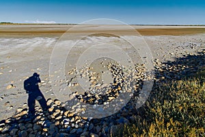 Camargue Nature Park, France.